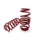 AST SUSPENSION short springs for Tesla Model Y