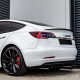 Roadster Typ Kofferraum Logo  - Tesla Model S, X, 3 und Y