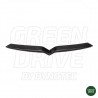 Carbon Front Grille - Tesla Model S en X