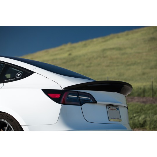 Zubehör für Tesla Model 3 von GreenDrive (8)