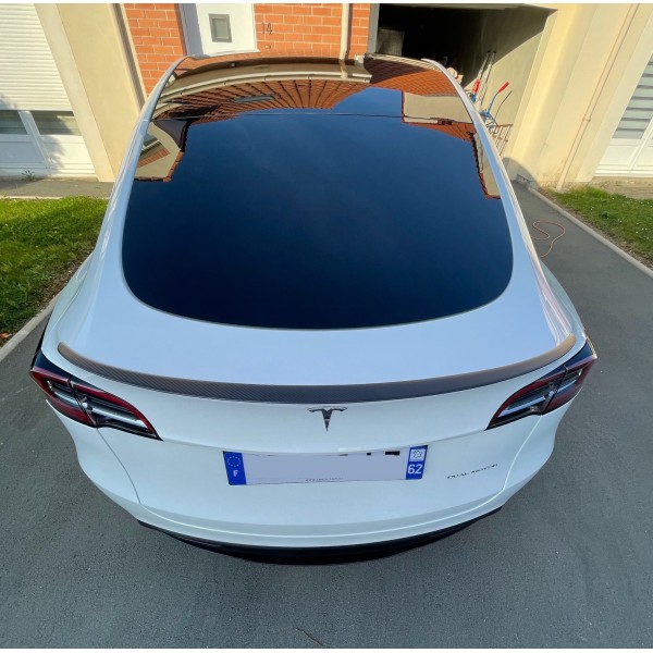 Tesla Spoiler de performanță pentru Model Y