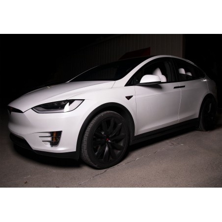 Chrome delete Tesla Model X