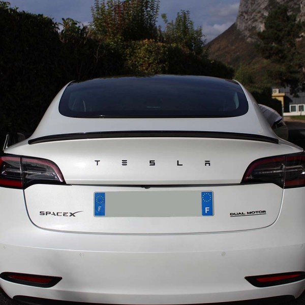 Tesla Model 3 Carbon Race Spoiler - 2017-2023