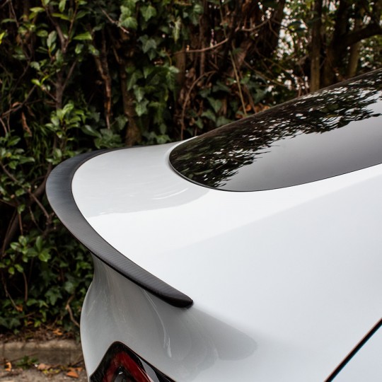 Becquet en Fiber de carbone pour Tesla modèle 3, aileron arrière, lèvre de  coffre, accessoires, queue GT, 2018 – 2021 - AliExpress
