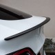 Tesla Spoiler de performanță pentru Model Y