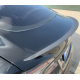 Spoiler suorituskyky Plaid for Tesla Model S