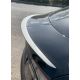 Spoiler prestanda Plaid för Tesla Model S