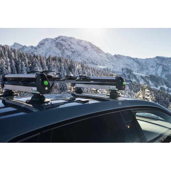 TreeFrog ski- en met zuignappen voor Tesla Model 3 , Y, S en X