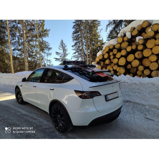 TreeFrog Ski- und Snowboardhalter mit Saugnäpfen für Tesla Model 3