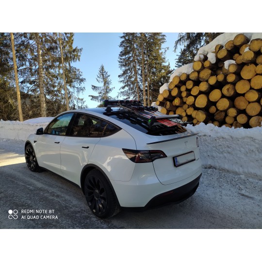 Tesla Model 3Nosič lyží a snowboardov TreeFrog s prísavkami pre , Y, S a X