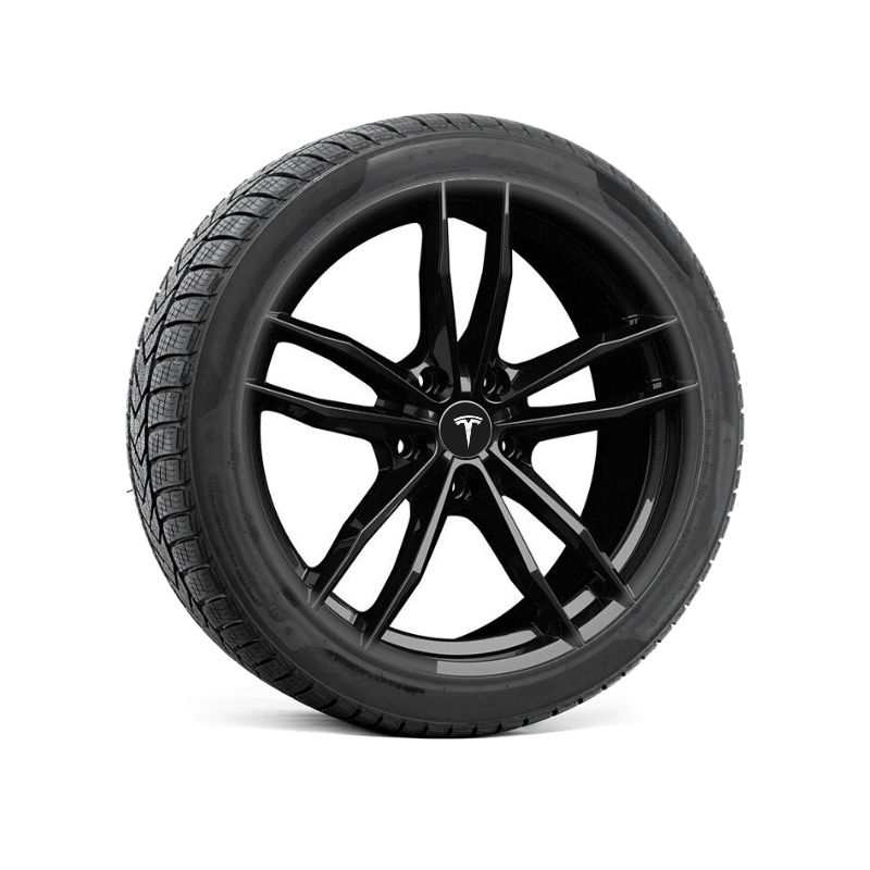 Complete Winter Wheels For Tesla Model Y - 20