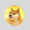 Dogecoin: From Meme Coin to Legal Battles